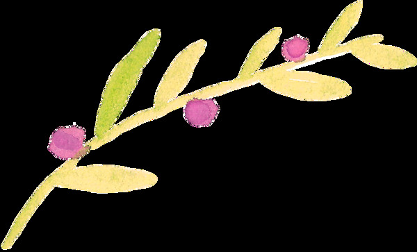 小玫瑰枝叶卡通透明装饰素材
