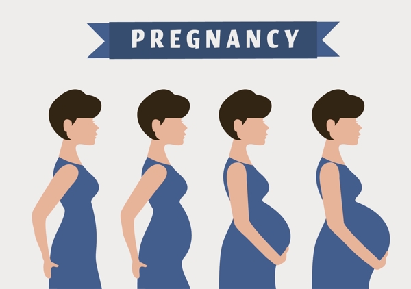 孕妇怀孕周期背景图