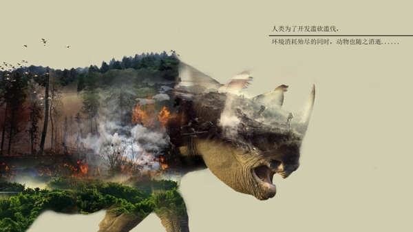 犀牛生态破坏森林火灾