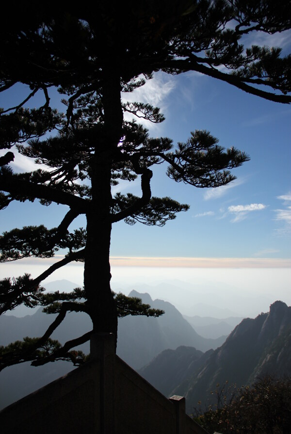 黄山风光图片