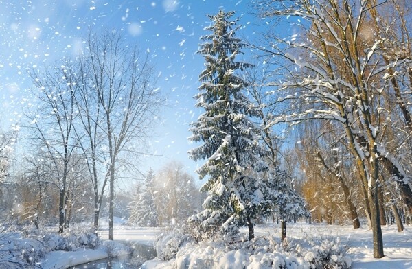 雪景图片