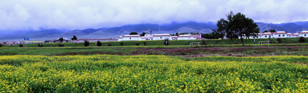 乡村景观图片图片