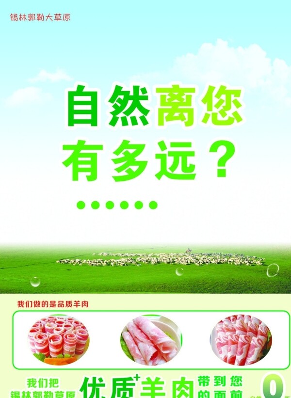 锡林郭勒羊肉卷海报图片