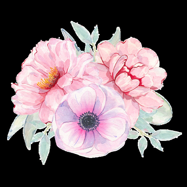 手绘蔷薇类型花卉PNG透明素材
