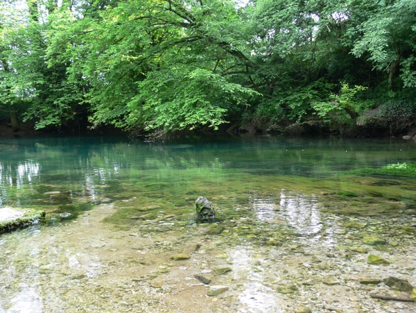 青青河水