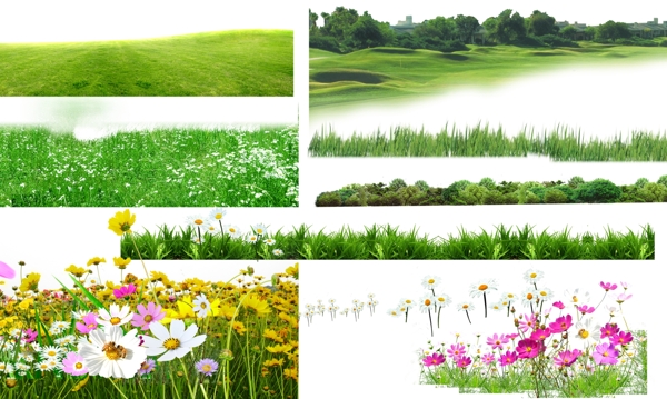 草地后期绿化图