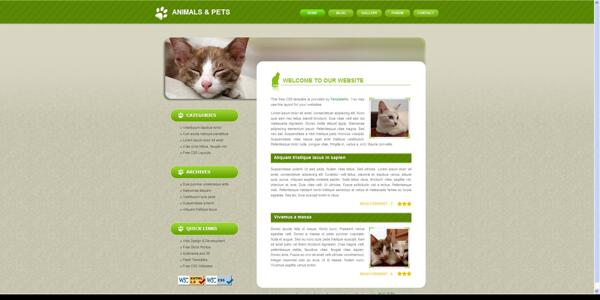 动物宠物布局CSS网页