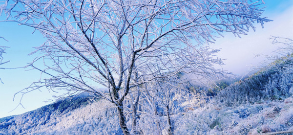 冬天雪景