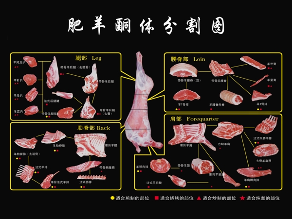 肥羊胴体分割图