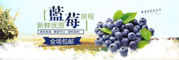 清新水果食品蓝莓新鲜美食淘宝banner