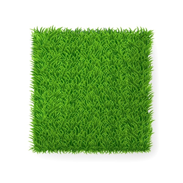 绿色草地草坪