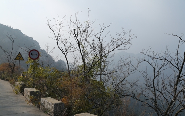 崂山秋景系列图片