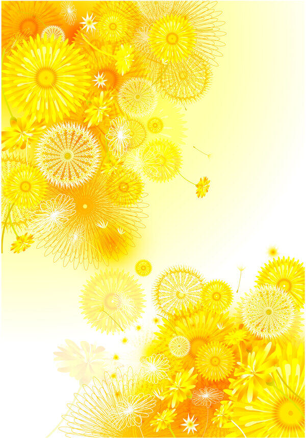 黄色角花