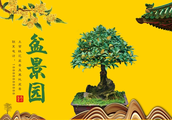 桂花盆景盆栽海报
