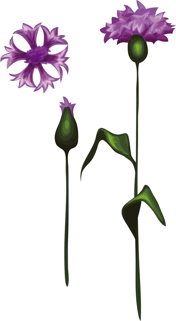 紫色花朵卡通植物矢量素材