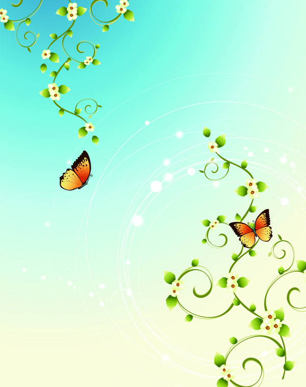 蝶与花二