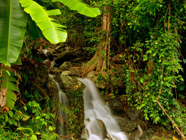 热带雨林瀑布风景图片