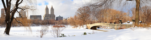 冬季雪景宽幅图片