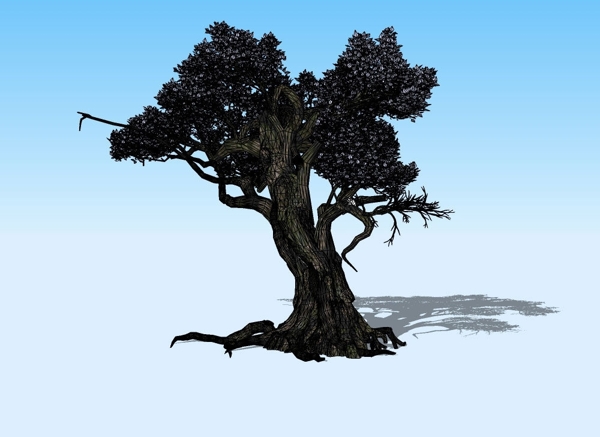 榕树3D模型图片
