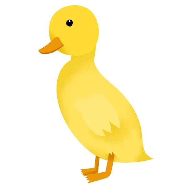 黄色的小鸭子手绘插画