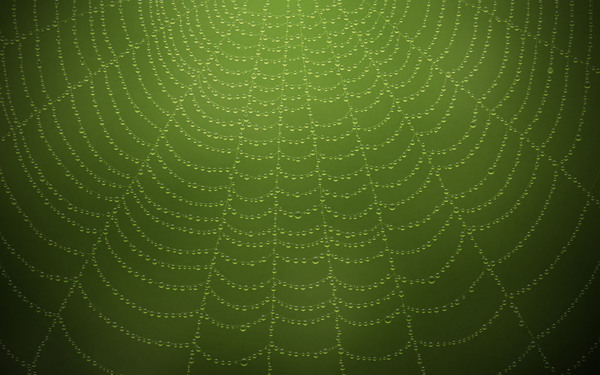 绿色蜘蛛网背景