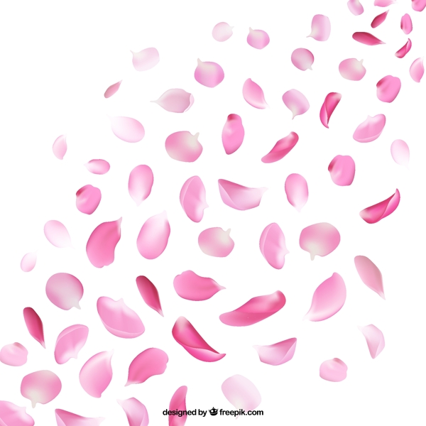 粉色花瓣设计矢量素材图片