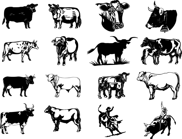 黑白画牛矢量图像序列的两个向量