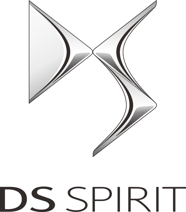 雪铁龙DS标志图片