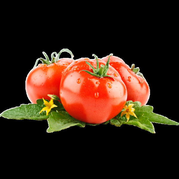 西红柿番茄新鲜西红柿西红