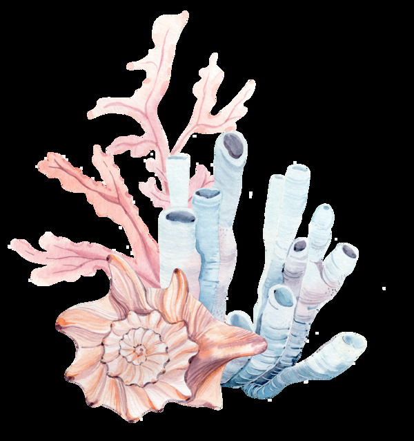 手绘深海稀有海螺png透明素材