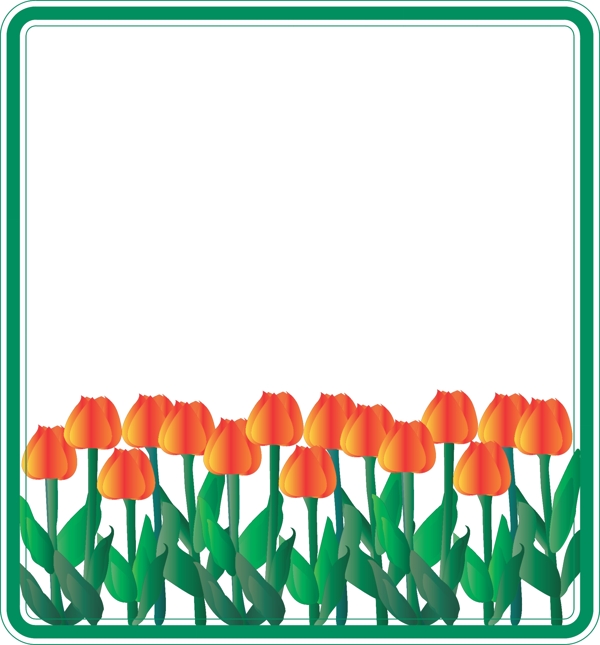 手绘风花卉边框郁金香边框可商用元素