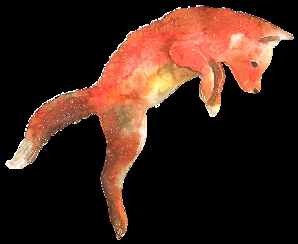 红色手绘透明水彩动物装饰素材