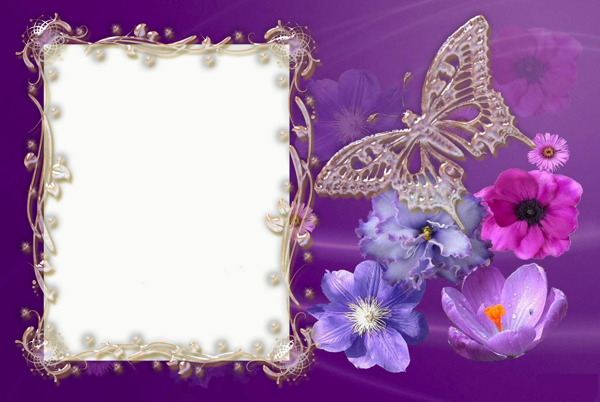 蝴蝶照片边框