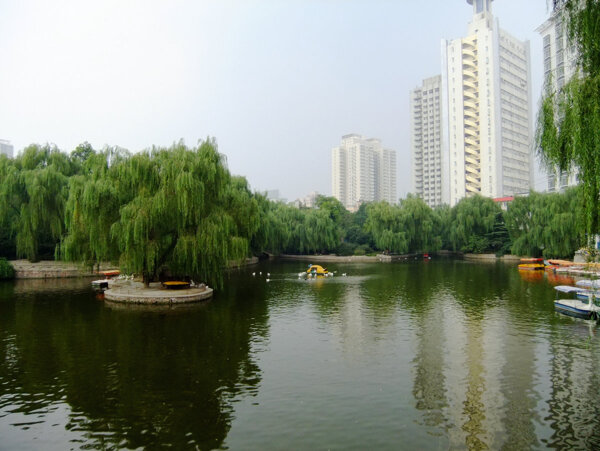 郑州人民公园图片