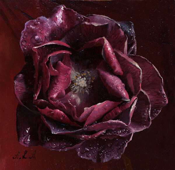紫红玫瑰