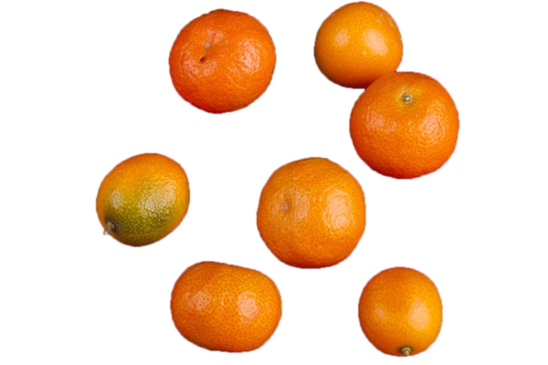 颜色鲜艳的美味橘子