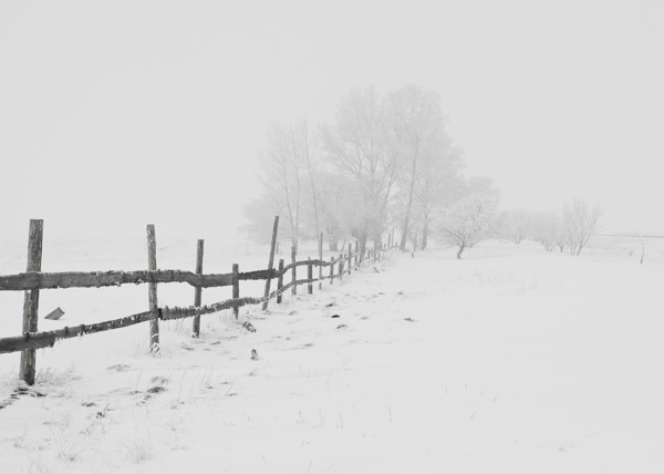 大雪中的围栏图片