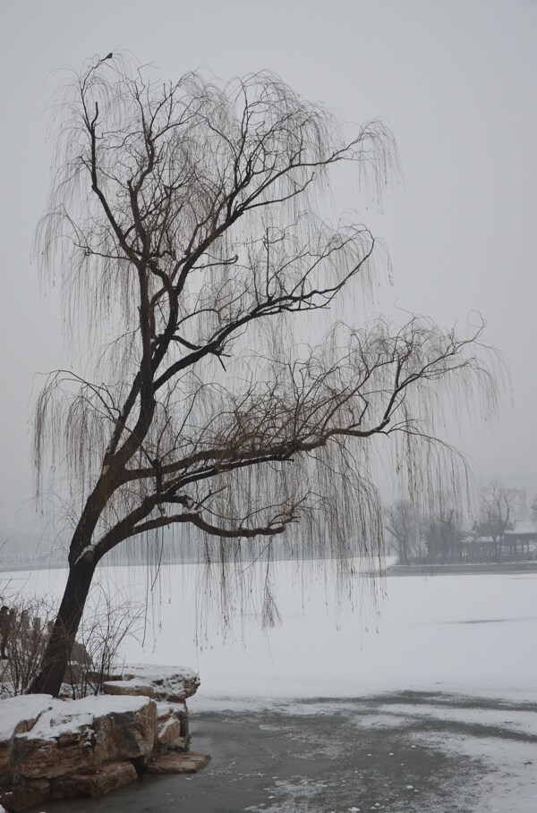 迎泽公园雪景