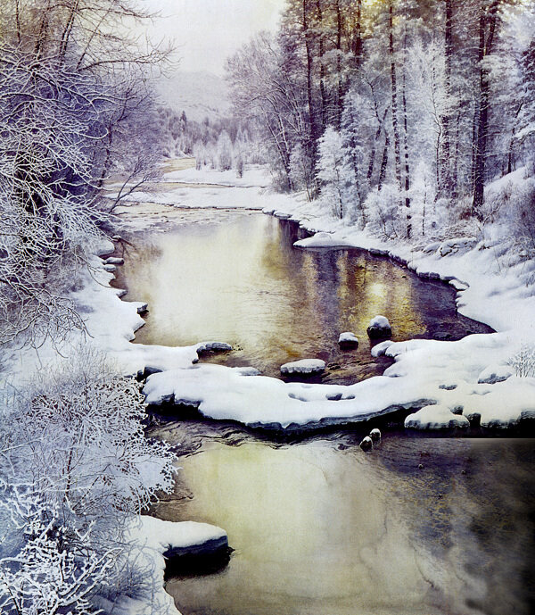 森中雪图片