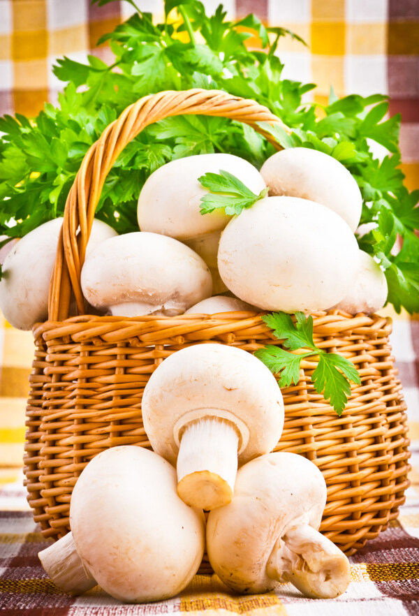 蘑菇与青菜背景
