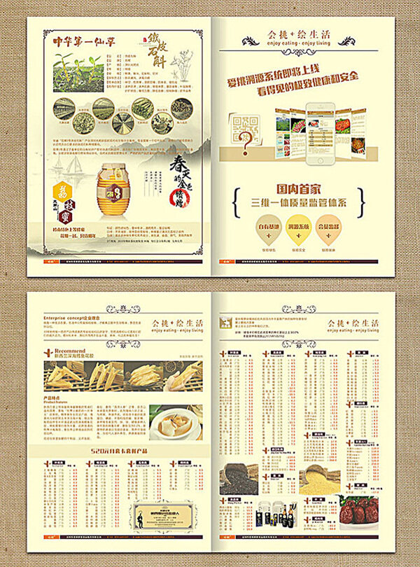 健康食品企业报刊报纸版面设计模板