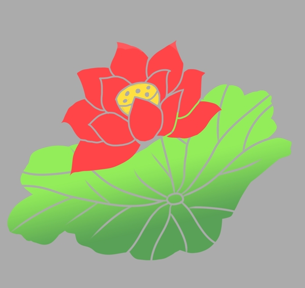 红色花瓣莲藕图案