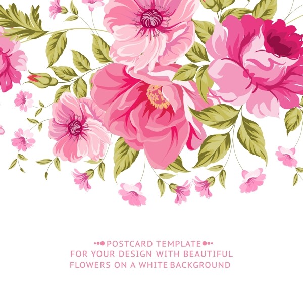 粉色花卉卡片图片