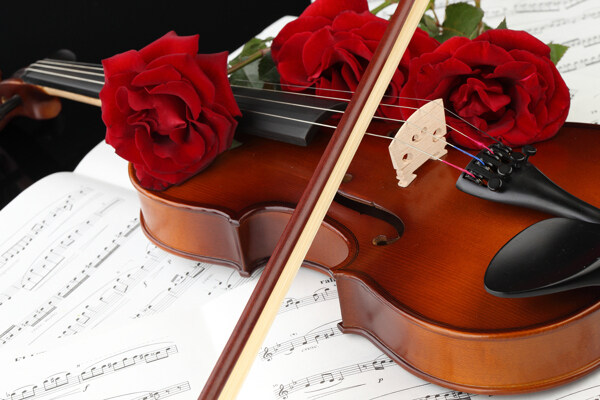 乐谱玫瑰花与音乐谱图片