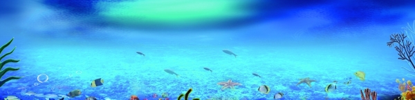 海底世界图片