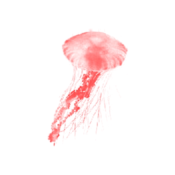 红色水母水彩绘画