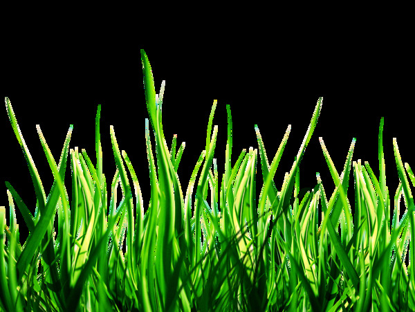 绿色自然草地免抠png透明图层素材
