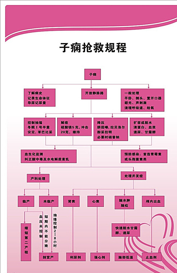 子痫抢救规程图片