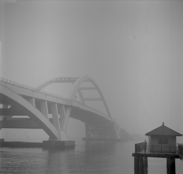 大桥和亭子图片