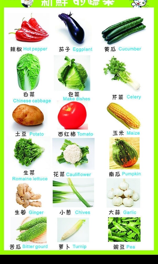新鲜的蔬菜图片
